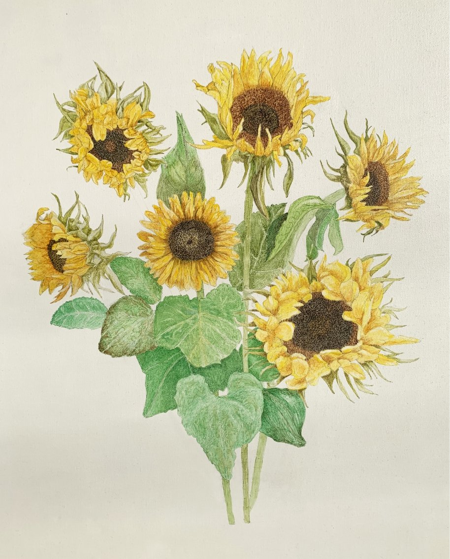 22 SUNFLOWERS